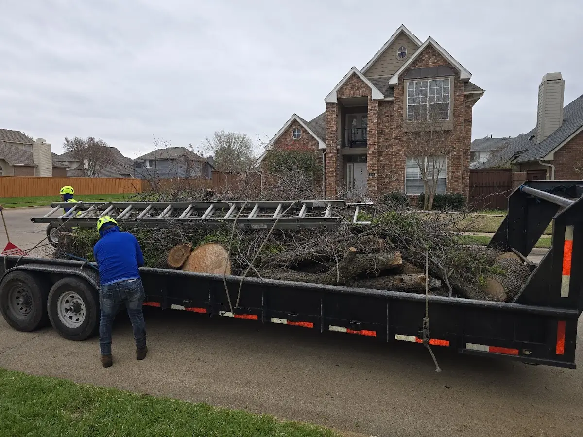 Expert Tree Fertilization with proper safety equipment in Buras